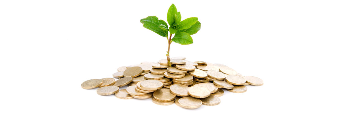 Independent financial advice to help your money grow